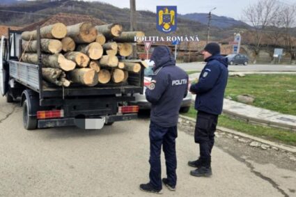 Amenzi de 135.000 de lei pentru contravenții la regimul silvic. Au fost confiscați și 163 mc de material lemnos