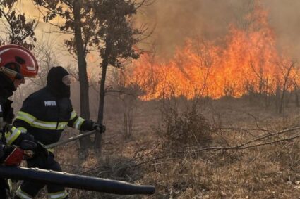 Doar azi, 25 de incendii de vegetație uscată și sute de hectare făcute scrum în Caraș-Severin! Trei persoane au fost amendate