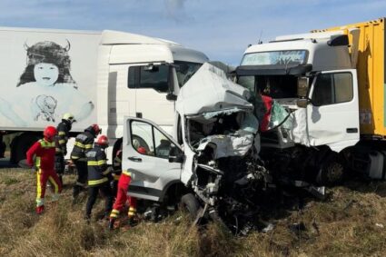 Două femei și-au pierdut viața pe DN 6, lângă Vălișoara. În accident au murit și șapte căței