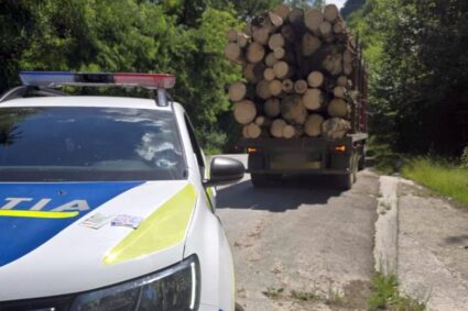Aproape 400 de metri cubi de material lemnos, confiscați de polițiști într-o săptămână