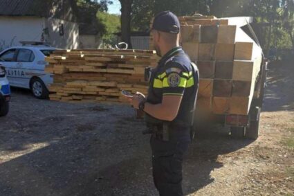 90 de metri cubi de lemn, în valoare de 21.000 de lei, confiscați de polițiști